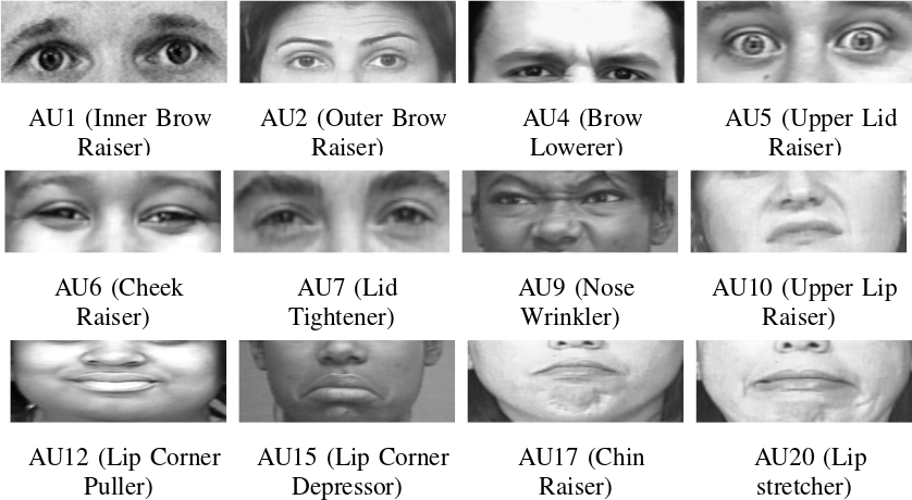 Twelve labelled close-up crops of facial regions, each illustrating one Action Unit: inner and outer brow raiser, brow lowerer, upper lid raiser, cheek raiser, lid tightener, nose wrinkler, upper lip raiser, lip corner puller and depressor, chin raiser, lip stretcher.